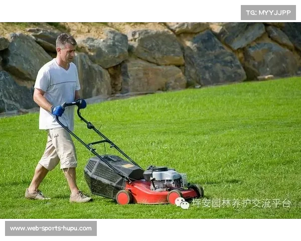 德甲冬歇期将至，各主场草坪维护工作启动